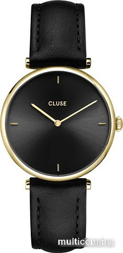Наручные часы Cluse Triomphe CW10404