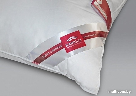 Спальная подушка Kariguz Рафаэла РФ13-3 (50x68 см)