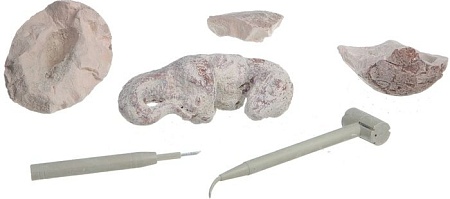 Набор для опытов Bondibon Науки с Буки Яйцо динозавра ВВ1357