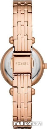 Наручные часы Fossil BQ3697