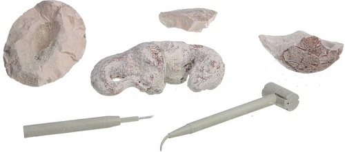 Набор для опытов Bondibon Науки с Буки Яйцо динозавра ВВ1357