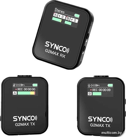 Радиосистема Synco G2(A2) Max