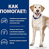 Сухой корм для собак Hill&#039;s Prescription Diet Food Sensitivities d/d Duck &amp; Rice (утка и рис) 4 кг