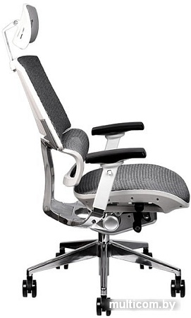 Кресло Thermaltake CyberChair E500 GGC-EG5-BWLFDM-01 (серый)