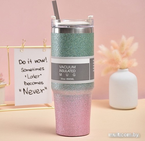 Sundays Home TBD0603334402B 890мл (зеленый/фиолетовый)