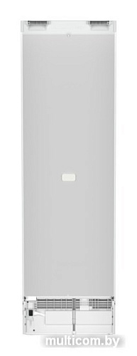 Холодильник Liebherr CNf 5704 Pure