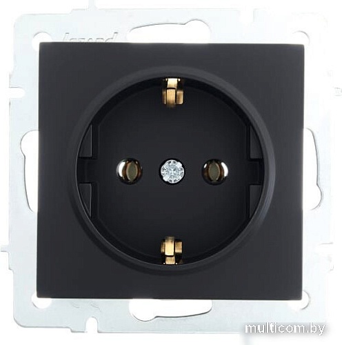 Розетка Lezard Vesna 742-4288-122B