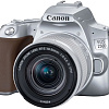 Зеркальный фотоаппарат Canon EOS 250D Kit 18-55 IS STM (серебристый)