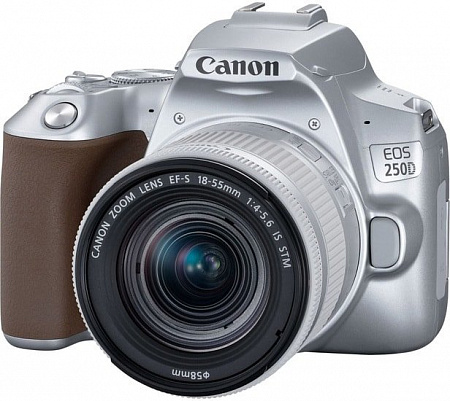 Зеркальный фотоаппарат Canon EOS 250D Kit 18-55 IS STM (серебристый)