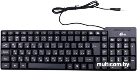 Клавиатура Ritmix RKB-100