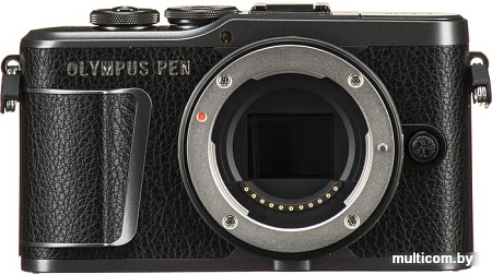 Беззеркальный фотоаппарат Olympus PEN E-PL10 Body (черный)