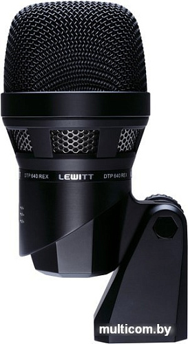 Микрофон Lewitt DTP 640 Rex