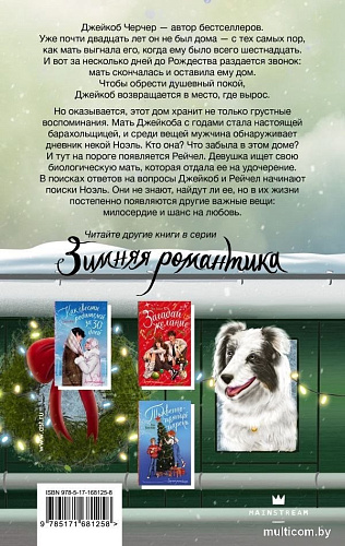 Книга издательства АСТ. Дневник Ноэль, твердая обложка (Эванс Ричард)