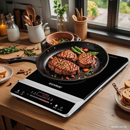 Настольная плита Endever Skyline IP-65