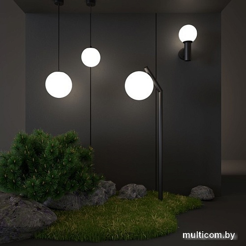 Уличный настенный светильник Elektrostandard Sfera 35126/D (черный)