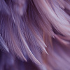 Фотообои Vimala Перья 18 270x400