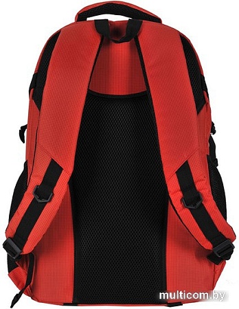 Городской рюкзак Paso 22-30060OG