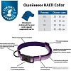 Ошейник Halti Collar M (фиолетовый)