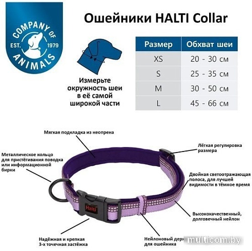 Ошейник Halti Collar M (фиолетовый)