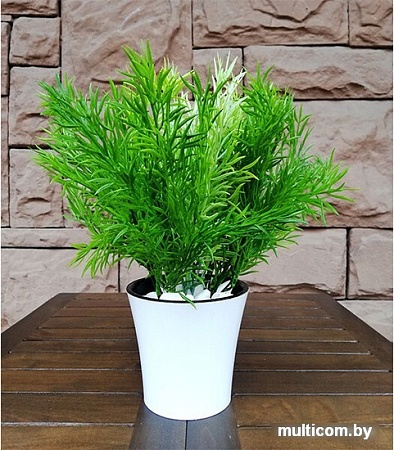 Искусственное растение Forgarden Аспарагус MIX BN10601 30 см