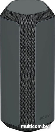 Беспроводная колонка Sony SRS-XE300 (черный)