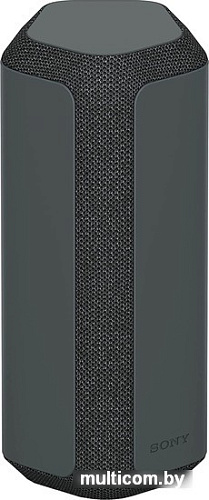 Беспроводная колонка Sony SRS-XE300 (черный)