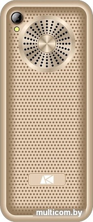 Мобильный телефон Ark Power F3 (золотистый)