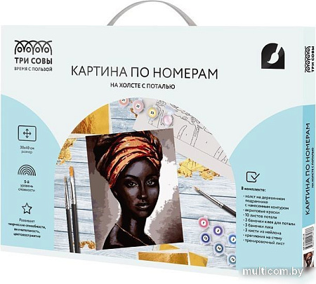 Картина по номерам Три совы Африканская женщина КХп_48138