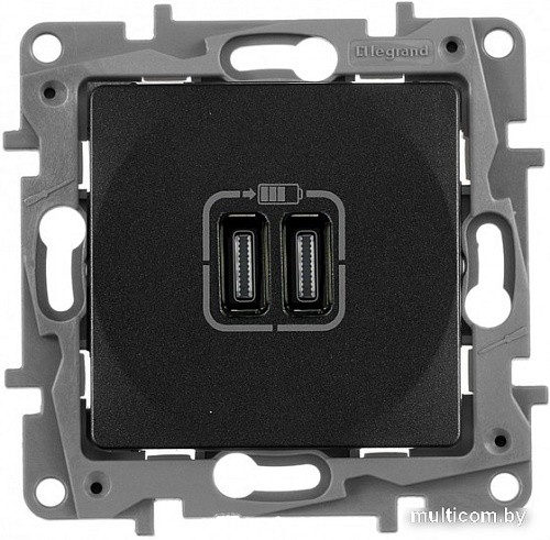 Розетка Type-C Legrand Etika 672635 (антрацит)