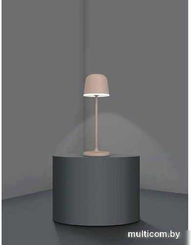 Садовый светильник Eglo Mannera 900459