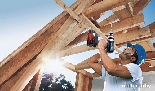 Ударная дрель Bosch GSB 36 VE-2-LI Professional (06019C1100)