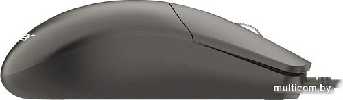 Мышь Acer OMW300 (черный)