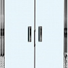 Душевая дверь WeltWasser WW600 600K2-120