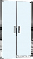 Душевая дверь WeltWasser WW600 600K2-120
