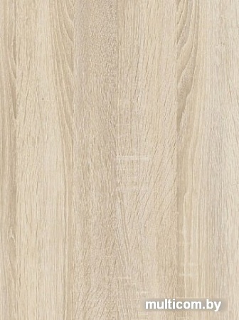 Полка Тэкс ПН-6 (дуб сонома)