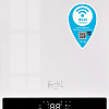 Отопительный котел Thermex Boss 12 Wi-Fi (белый)
