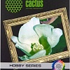 Фотобумага CACTUS Матовая A4 190 г/кв.м. 10 листов (CS-DA419010L)
