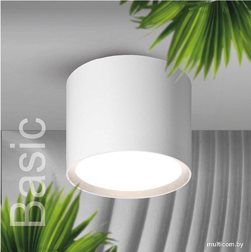 Точечный светильник Wolta WSL-GX53/01W