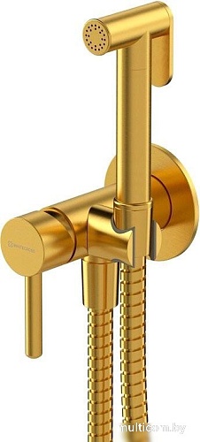 Гигиенический душ Whitecross SYSYBI2GLB (брашированное золото)