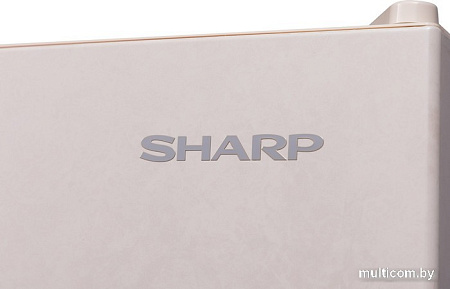Холодильник Sharp SJ-653GHXJ52R
