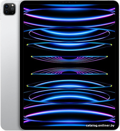 Планшет Apple iPad Pro 12.9" 2022 256GB (серебристый)