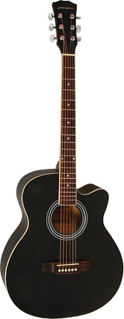 Акустическая гитара Elitaro E4020 BK