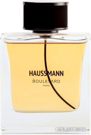 Парфюмерная вода Boulevard Haussmann EdP (100 мл)