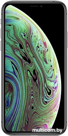 Смартфон Apple iPhone XS 256GB (серый космос)