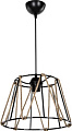 Подвесная люстра Toplight Georgiana TL1607H-01BK