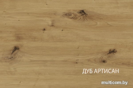 Шкаф распашной Anrex Rico 1D (дуб артисан/графит)