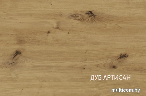 Шкаф распашной Anrex Rico 1D (дуб артисан/графит)