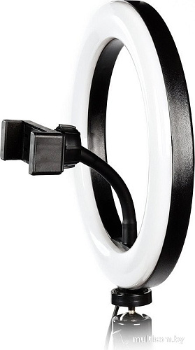 Кольцевая лампа SmartBuy SBL-TTL-8