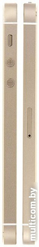 Смартфон Apple iPhone SE 64GB Gold