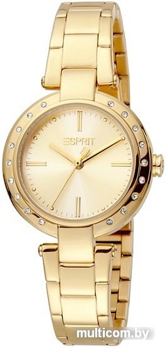 Наручные часы Esprit ES1L230M0055